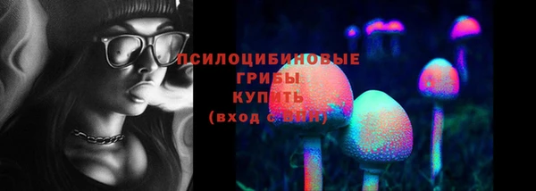 дживик Аркадак