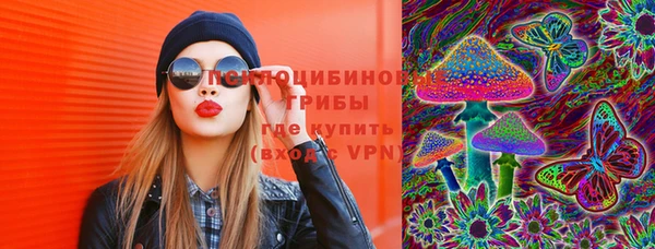 дживик Аркадак