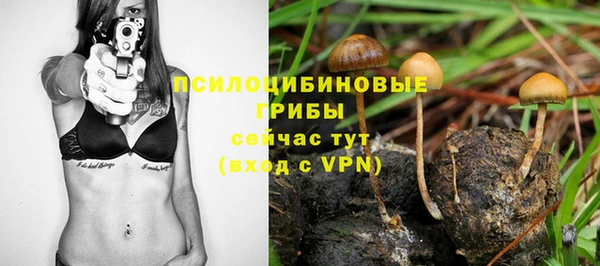 дживик Аркадак