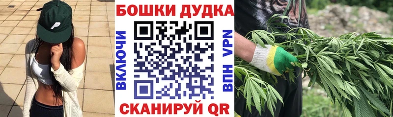 даркнет сайт  Пошехонье  МАРИХУАНА план 